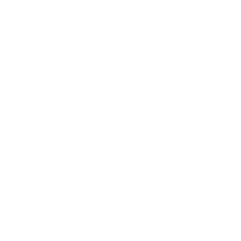 PERFIK CIRCO